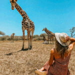 Nature Walk With Giraffes - Travel4Purpose