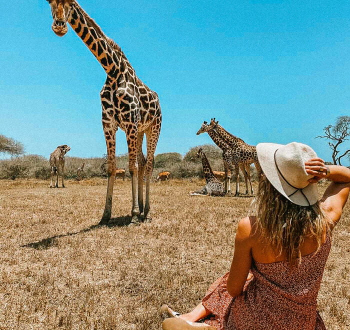 Nature Walk With Giraffes - Travel4Purpose