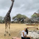 Up and Close with Giraffes