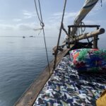 Dolphin Safari & Snorkelling with a Traditional Dhow - Travel4Purpose