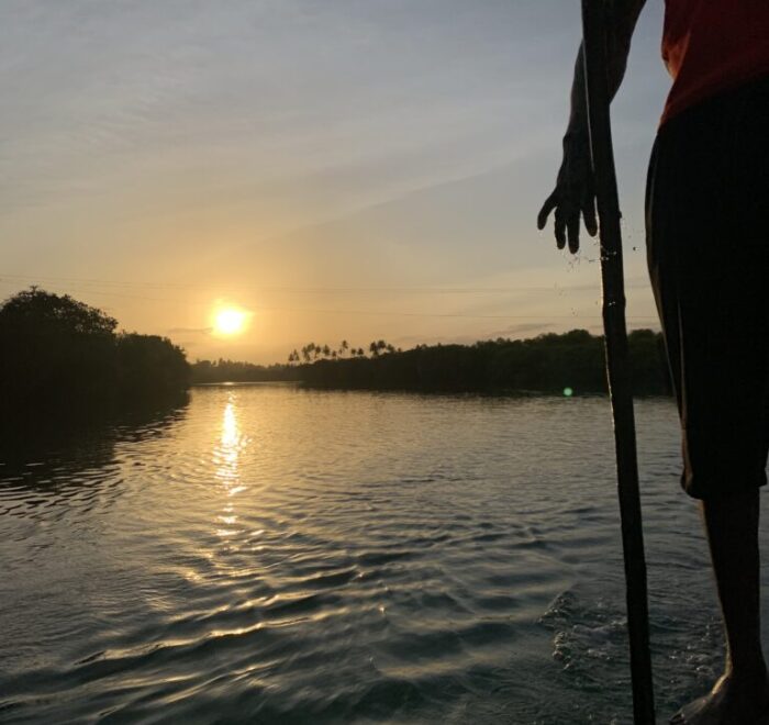 Sunset Canoe Ride within Mangroves - Travel4Purpose