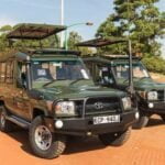 Safari cruisers - Nairobi National Park Safari - Travel4Purpose in Nairobi City - Kenya (4)