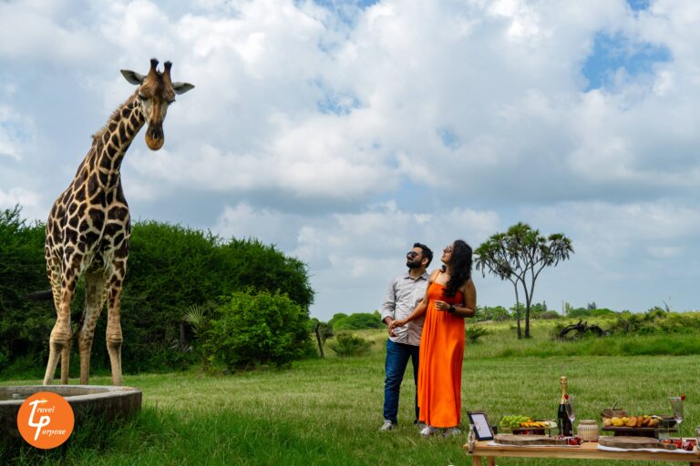 Giraffe Picnic to propose in Kenya - Romantic places for engagement and proposals in Kenya