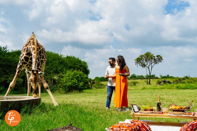 Things to Do in Mombasa - Travel Kenya Giraffe Picnic to propose in Kenya - Romantic places for engagement and proposals in Kenya