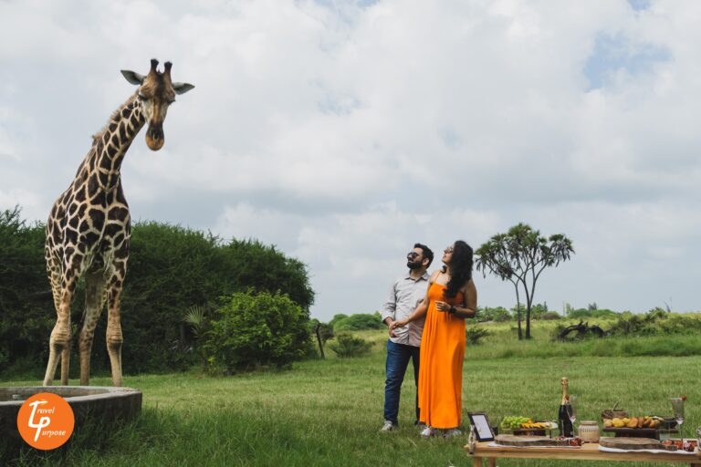 Giraffe Picnic to propose in Kenya - Romantic places for engagement and proposals in Kenya