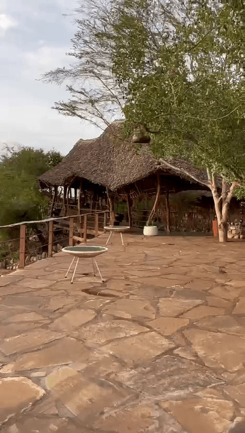 Personalized Honeymoon and Proposal in Kenya - Travel4Purpose Travel Company