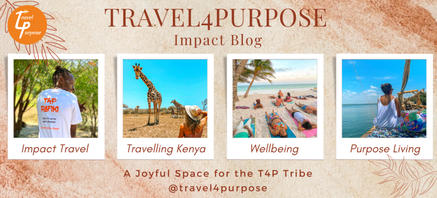 Travel4Purpose Blog